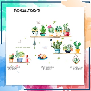 Decal dán tường phòng ngủ kệ cây xương rồng hm71007. đề can dán tường hàn quốc kích thước 60x90cm