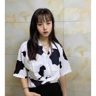 SƠ MI TAY LỠ BÒ SỮA