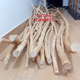 Cành cây gỗ lát thẳng khô tự nhiên decor trang trí 150cm