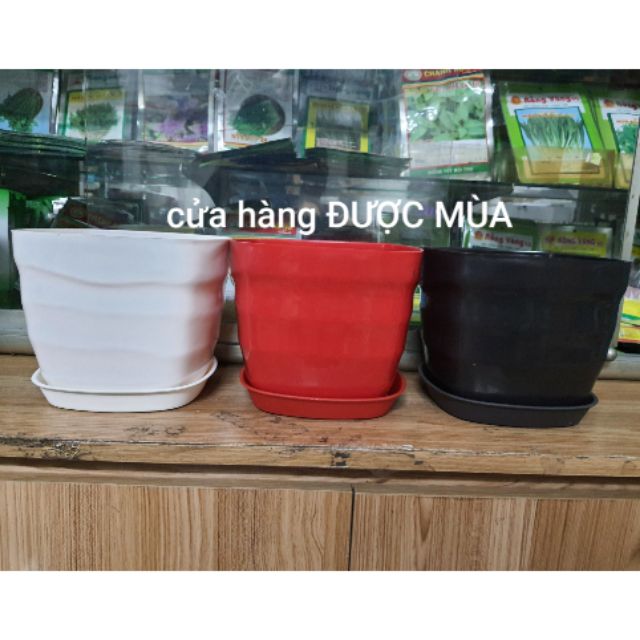 Chậu vuông sóng kèm dĩa lót đk 19cm