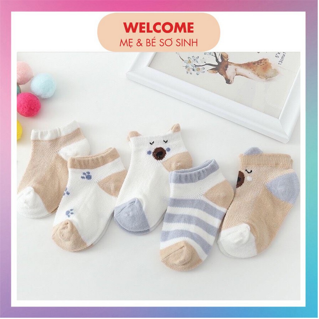 TẤT LƯỚI ⚡️FREESHIP⚡️ Set 5 Đôi Tất Lưới Kid's Socks Cổ Thấp Cho Bé