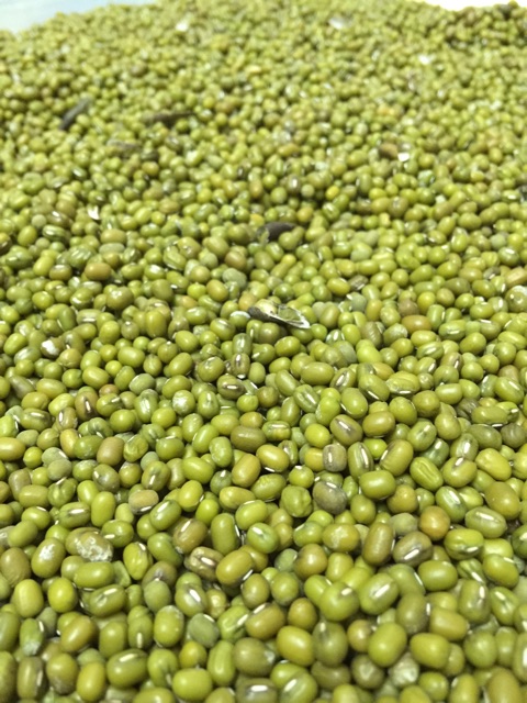 1KG BỘT ĐẬU XANH NGUYÊN CHẤT NHÀ LÀM, SẠCH, NGON.