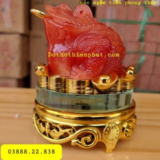 Cóc Ngậm Tiền Phong Thủy Màu Đỏ