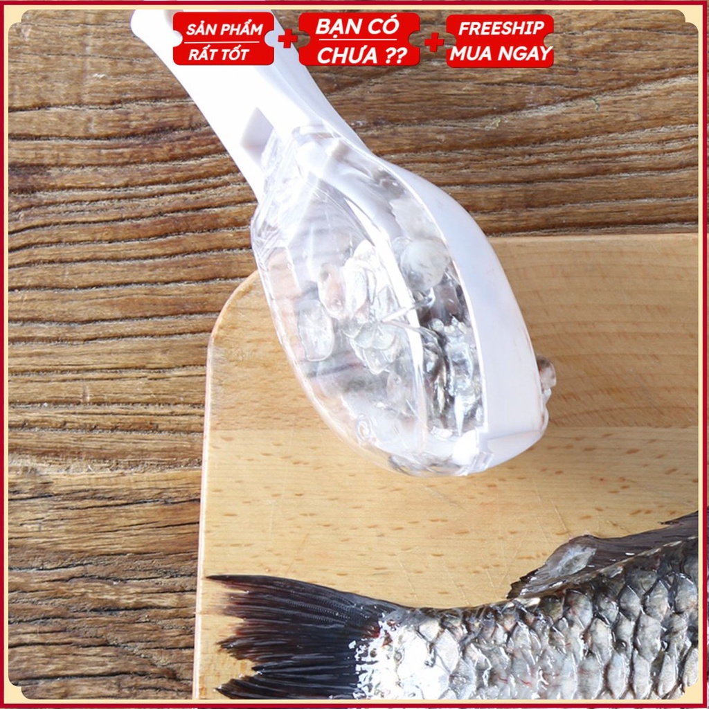 PVN38822 Đánh Vảy Cá Tiện Dụng Chống Vảy Bắn Tung Tóe Khắp Nơi T2 .