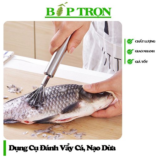 Dụng Cụ Đánh Vẩy Cá, Nạo Dừa Chất Liệu Bằng Thép Không Gỉ Dễ Sử Dụng - BẾP TRỌN