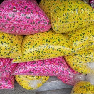 1KG Hoa mai, đào giả rời [ 600-800 bông ] trang trí ngày tết