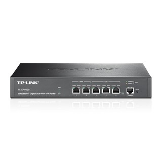 Thiết bị cân bằng tải TP-Link TL-ER6020