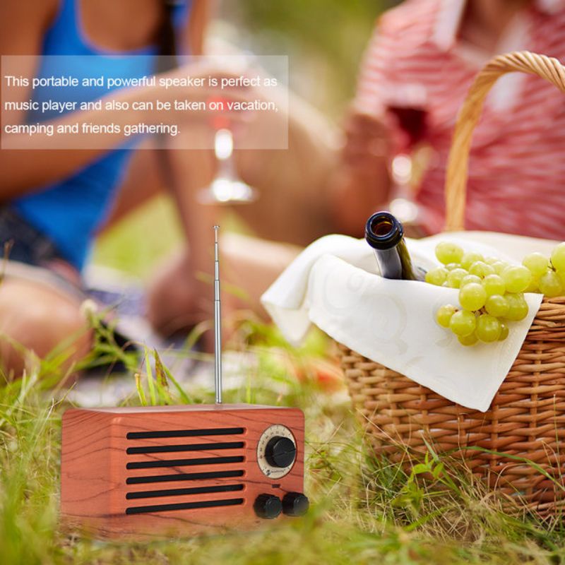 Radio màu gỗ NR-3013