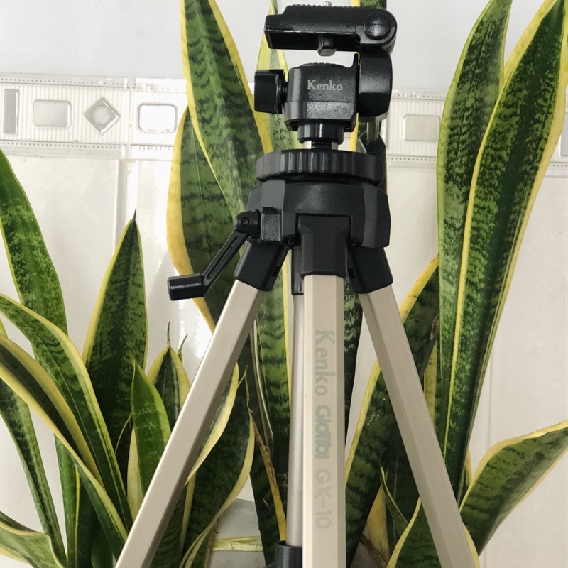 Chân máy Tripod nội địa Nhật bản