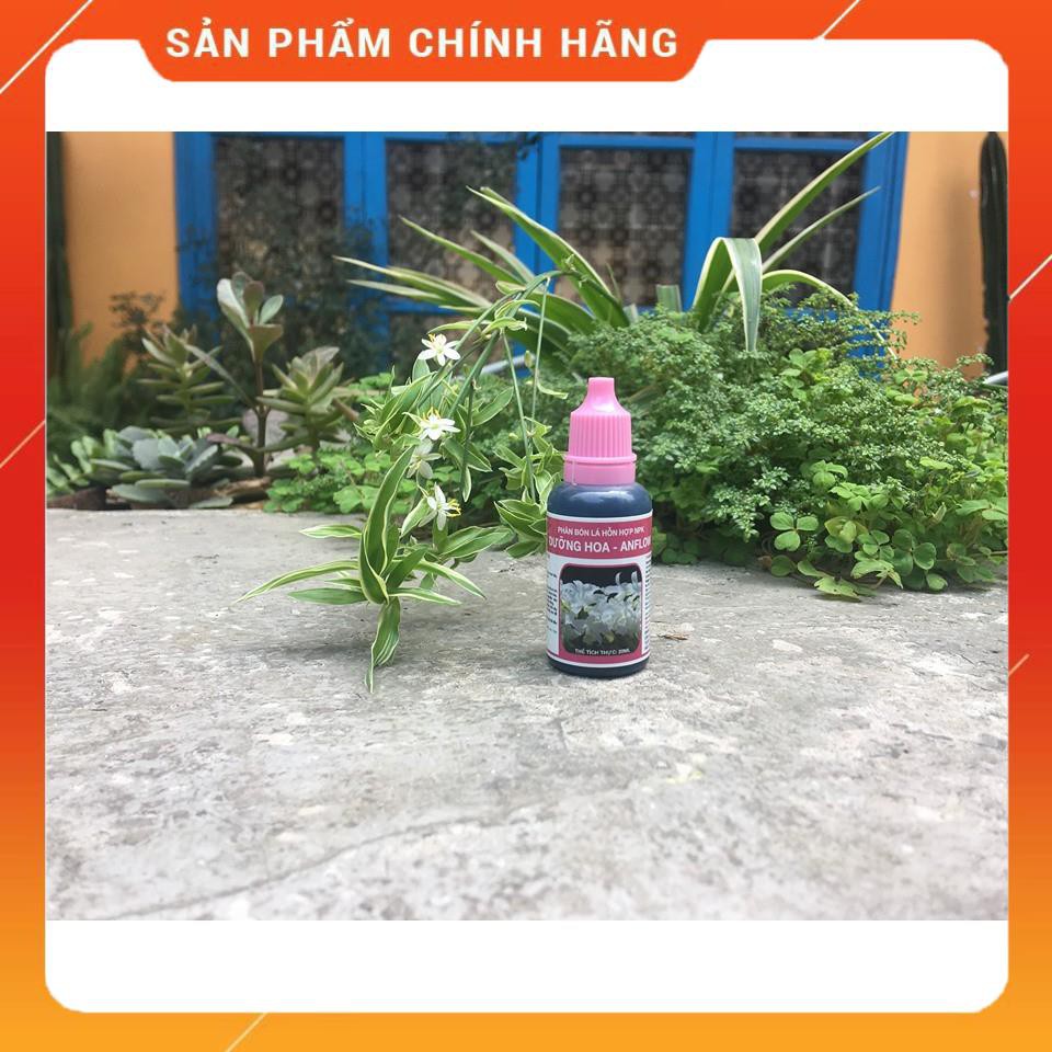 KÍCH RỄ CHỒI HOA 4 lọ (hoa lan, hoa hồng và cây cảnh khác)