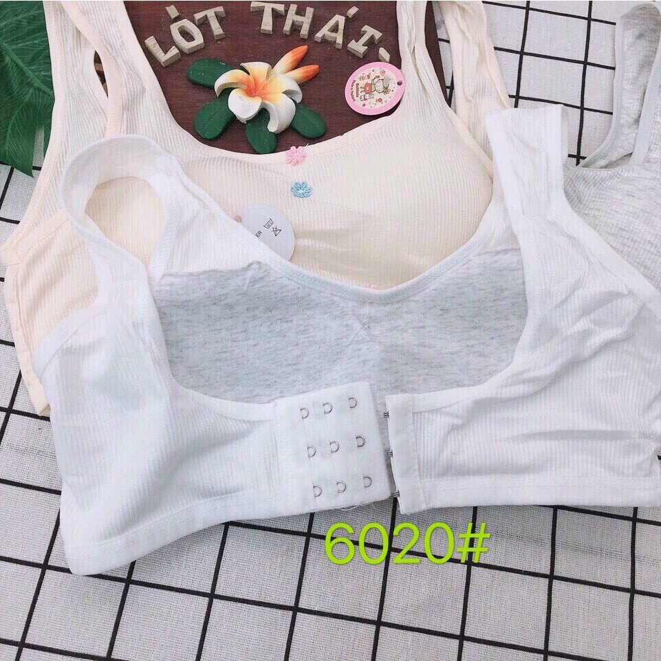 Áo Lá Học Sinh Cho Bé Cài Móc, Có Mút Đệm Mỏng Cho Bé ( Chất Thun Tăm Đẹp) | BigBuy360 - bigbuy360.vn