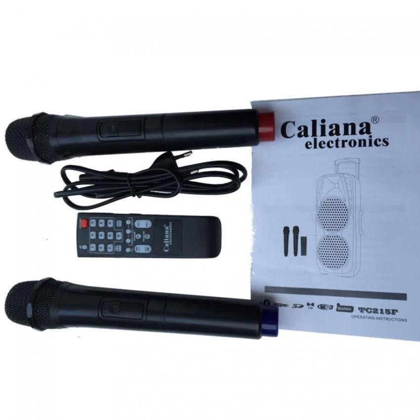 Loa kéo di động Caliana T012B