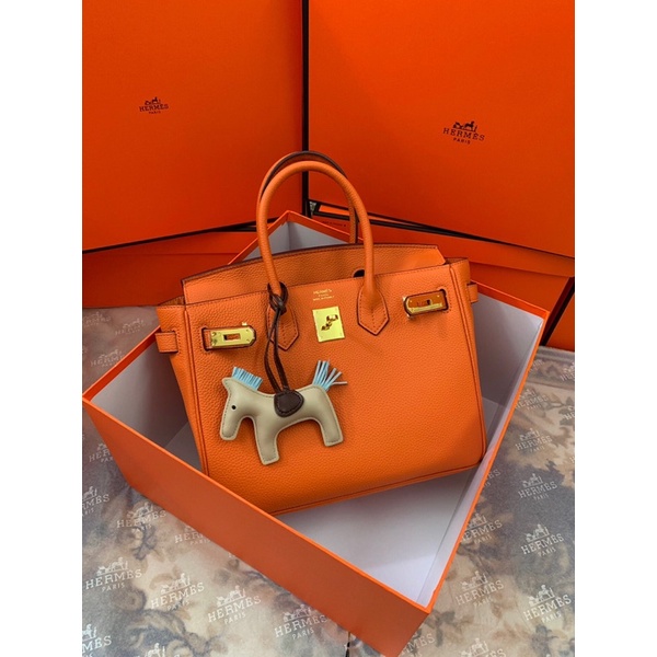 Túi xách nữ thương hiệu Hermes HM Birkin cao cấp da thật