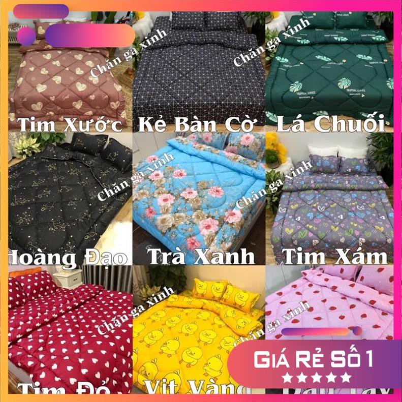 Bộ 5 Ga Gối Chăn Phao Trần Bông Dày Poly Cotton loại 1 Chăn Bông Như Hình Nhiều Mẫu Mới ( Nhắn Chọn Mẫu)