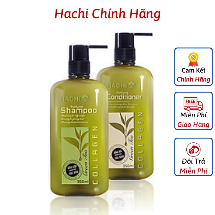 Dầu gội đầu cặp trà xanh hachi dành cho tóc dầu khắc phục tình trạng dư thừa dầu chiết xuất tự nhiên - Combo dầu gội xả