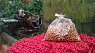 Ngô cay Bắp cay | 300g