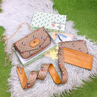 Túi gc 3in1 mickey sz 21