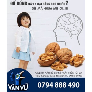 Hộp Mixed Nuts 6 Loại Hạt - 500g (Hạnh Nhân, Hạt Thông, Macca, Óc Chó, Úc, Hạt Dẻ Cười, Hồ Đào)