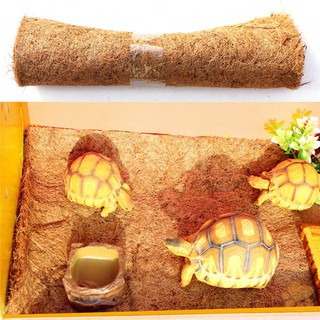 Thảm cây dừa tự nhiên cho rùa leo trèo