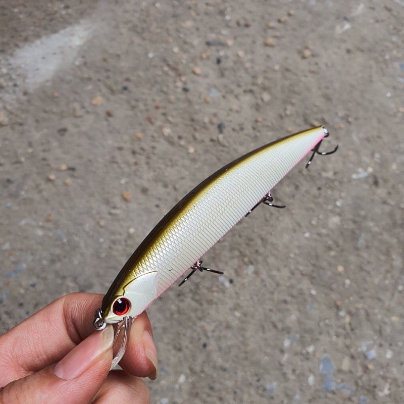 mồi câu cá chẽm, cá hồng Minow king dom 3523