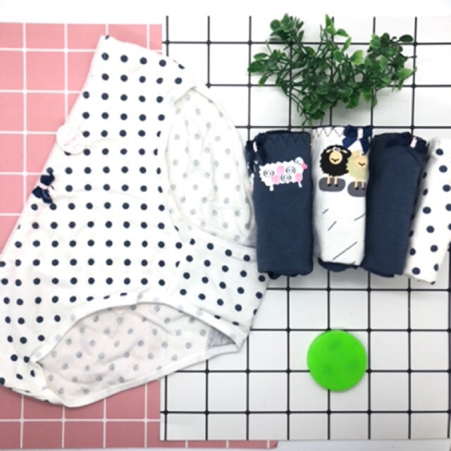 Quần chíp hộp 5 chiếc xuất Nhật cotton siêu thấm hút