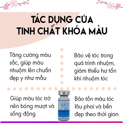 Tinh Chất Khóa Màu Tóc Nhuộn Lâu Phai, Sáng Bóng Khỏe Đẹp (1lọ : 10ml)