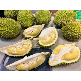 Cơm sầu riêng Ri 6, hộp 1 kí