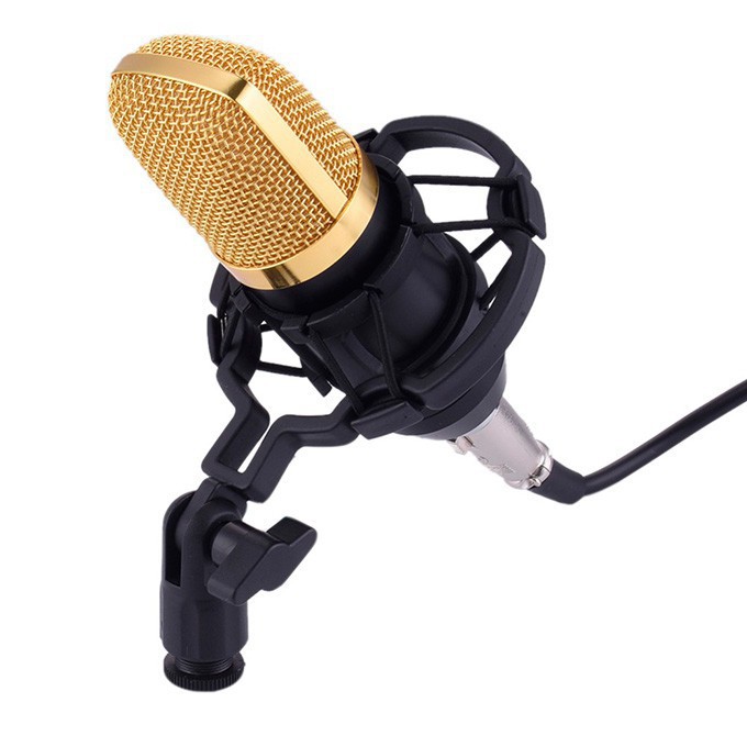 Mic thu âm karaoke live stream AQ100 chính hãng siêu hay