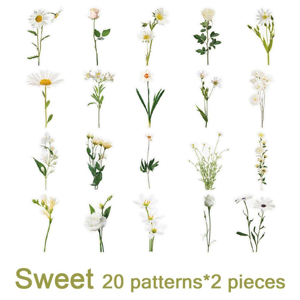 AUGUSTINA Bộ 40 Miếng Dán Trong Suốt Chống Thấm Nước Họa Tiết Hoa Xinh Xắn