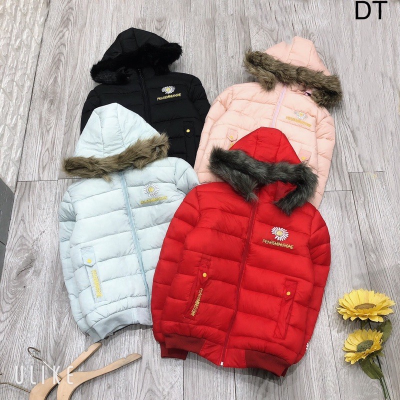 ÁO KHOÁC PHAO NỮ , ÁO PHAO MŨ LÔNG THÊU HOA CÚC CHẤT PHAO GIÓ SIZE M,L 40-62kg | BigBuy360 - bigbuy360.vn