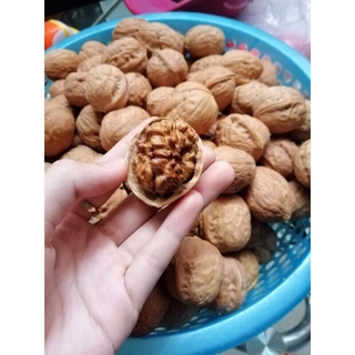 500g ÓC CHÓ NẾP