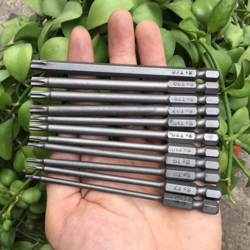 Hoa thị nhật bãi