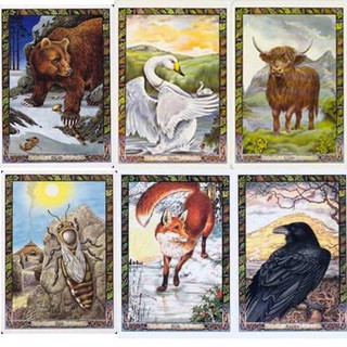 Bộ bài The Druid Animal Oracle Deck