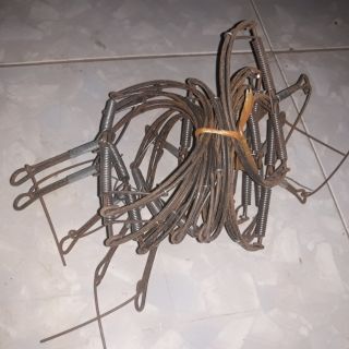 Bẫy kẹp chuột to loại 10 cái