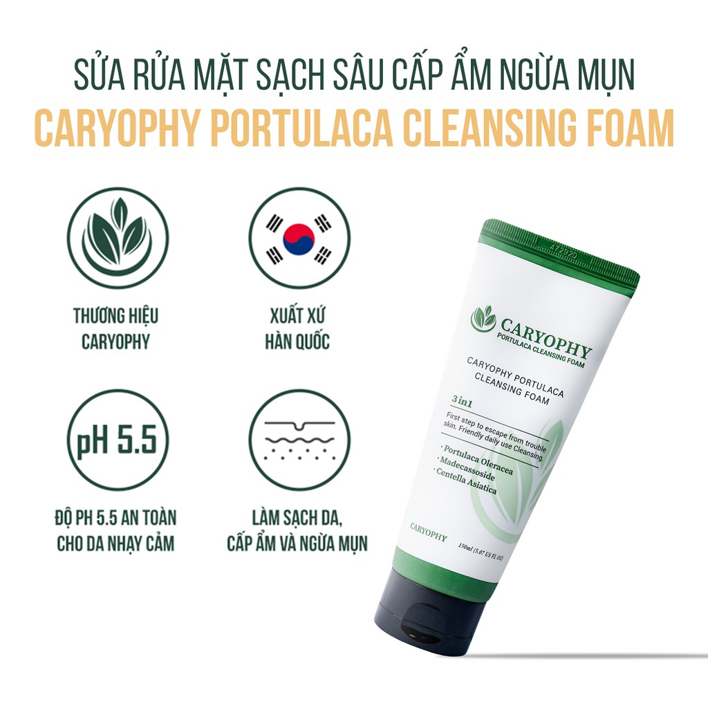 Sữa Rửa Mặt ngừa mụn Caryophy Portulaca Cleansing Foam Hàn Quốc - 150 ml làm sạch sâu giảm thâm hiệu quả