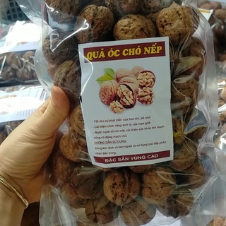 Hạt óc chó nguyên vỏ - quả óc chó nếp - không hôi dầu - chuẩn vị đặc sản vùng cao tây bắc - tặng đồ tách vỏ hạt óc chó