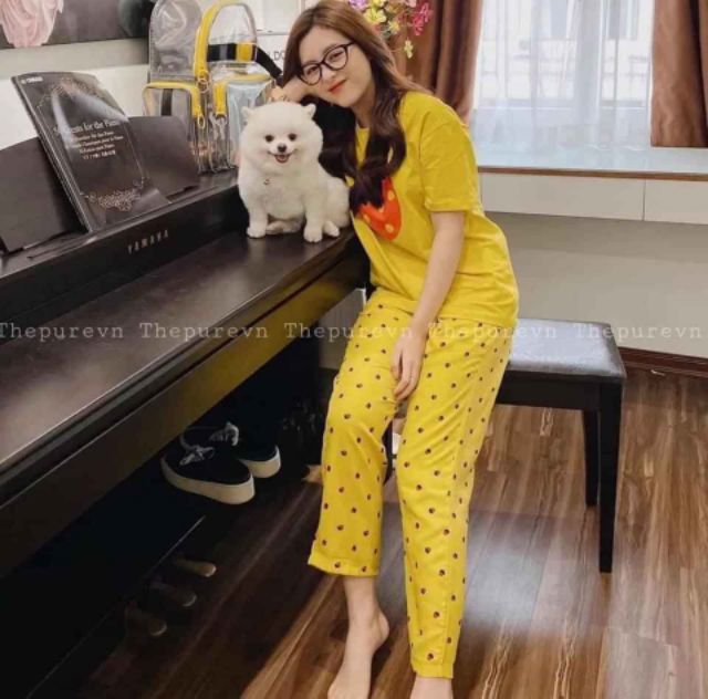 Bộ Hoa Quả 4 màu Chất Cotton xịn xò | BigBuy360 - bigbuy360.vn