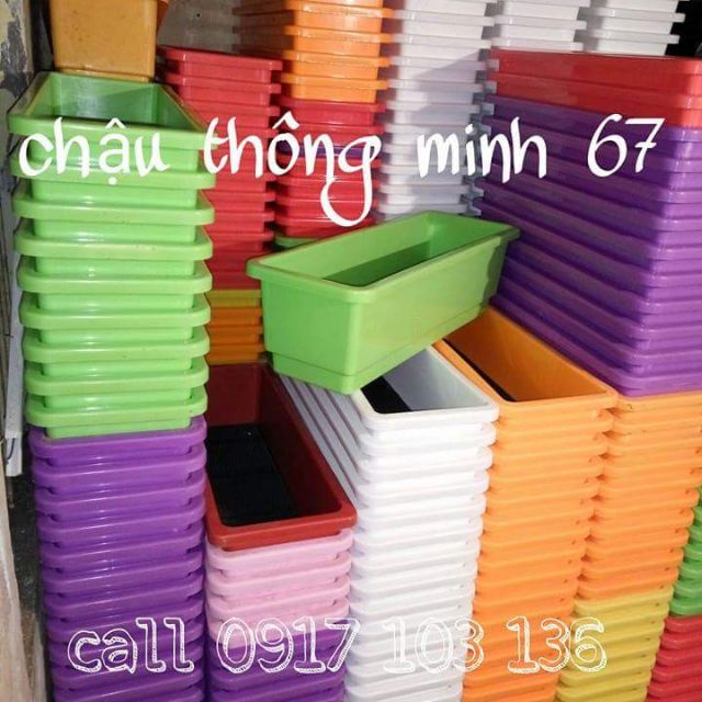 Chậu thông minh cỡ lớn 67cm giá rẻ