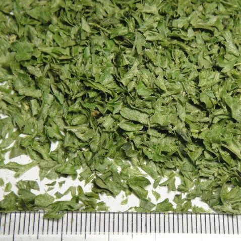 Lá Mùi Tây Parsley 10g