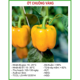 Hạt Giống Ớt chuông vàng 10 Hạt/ Gói