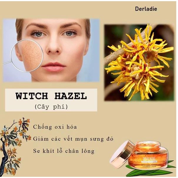 Kem Dưỡng Dành Cho Da Mụn &amp; Làm Mờ Thâm Sẹo Derladie Witch Hazel Perfect Vitamin Gel Cream 55ml ( Mẫu Mới )