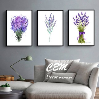 Tranh treo tường - Bộ 3 tranh hoa oải hương viền 5mm