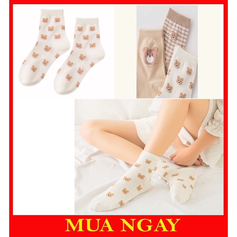 [ Mẫu mới ] Set 3 đôi tất nữ cổ cao họa tiết gấu dễ thương TN91