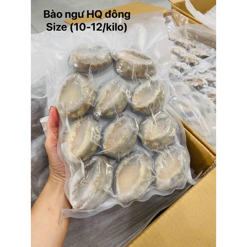 Bào ngư Hàn Quốc 500gr | Giao siêu tốc TPHCM