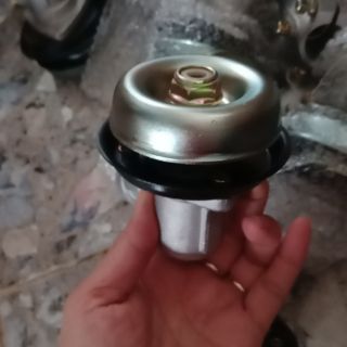 Đầu bò 28/9 .28/ vuông