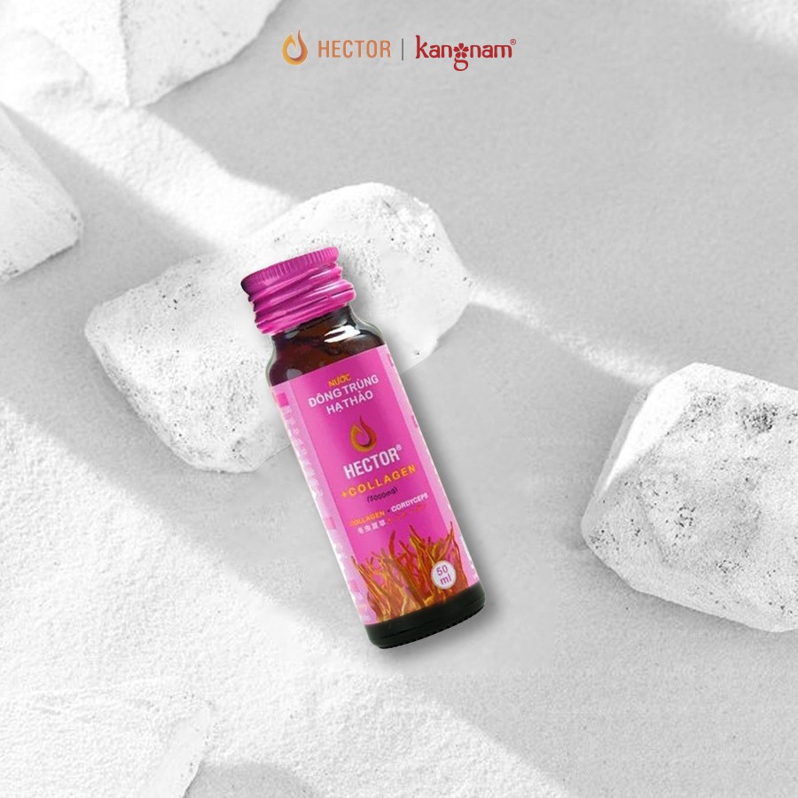 Nước Đông Trùng Hạ Thảo Hector Collagen x 20 Chai