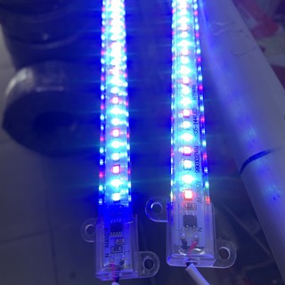 ⚡led thanh 220v tự chuyển 7 màu.
