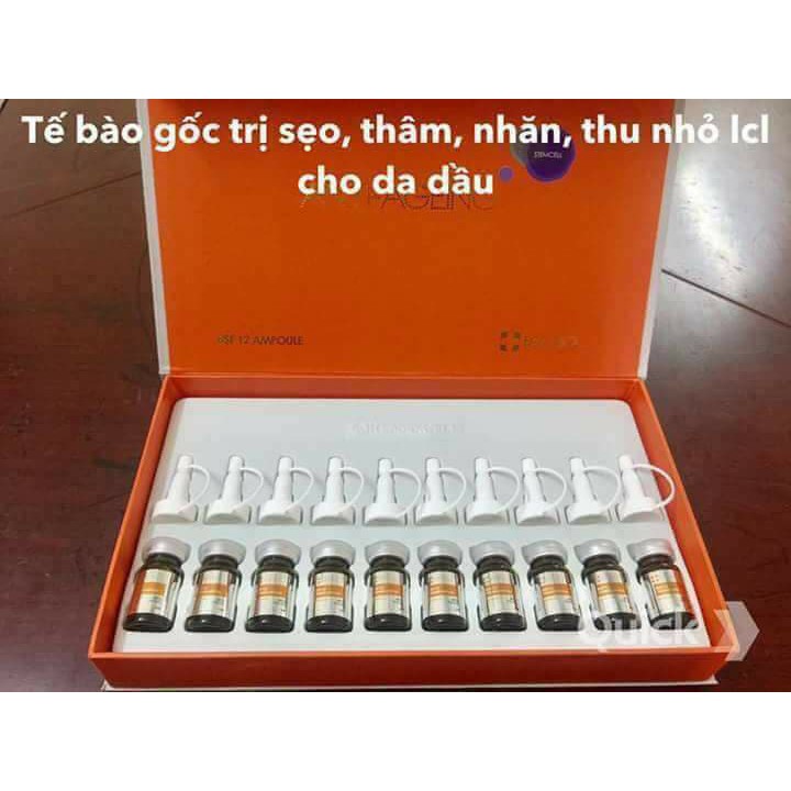 Tế bào gốc trị sẹo rỗ BSF 12