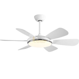 Quạt trần đèn QD117