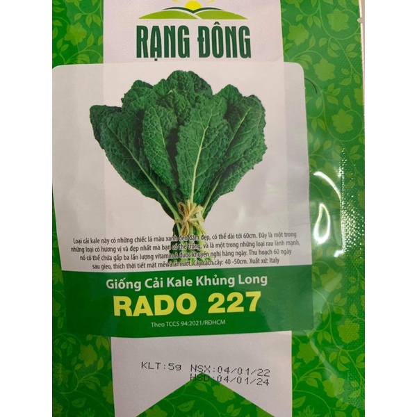 hạt giống cải Kale khủng long